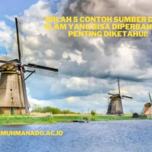 Contoh-Sumber-Daya-Alam-yang-Bisa-Diperbaharui